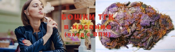 молекула духа Надым