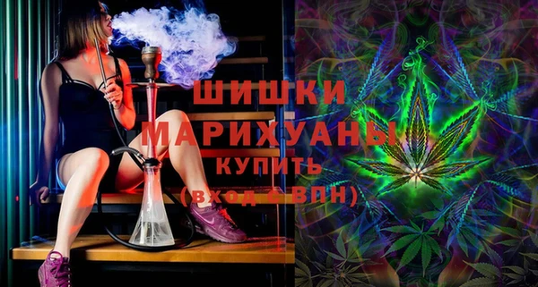 молекула духа Надым